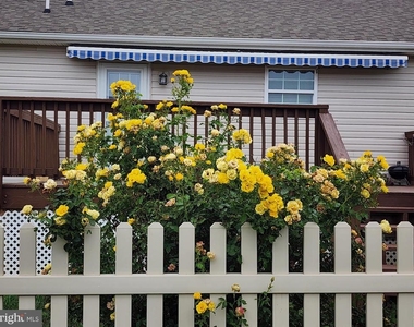 227 Tather Drive - Photo Thumbnail 14