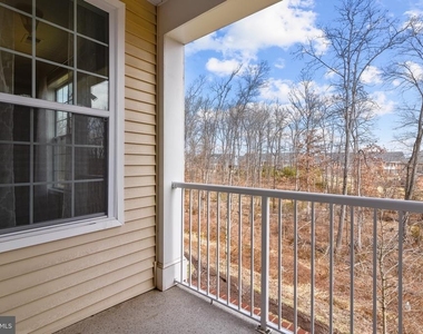 23266 Southdown Manor Terrace - Photo Thumbnail 12