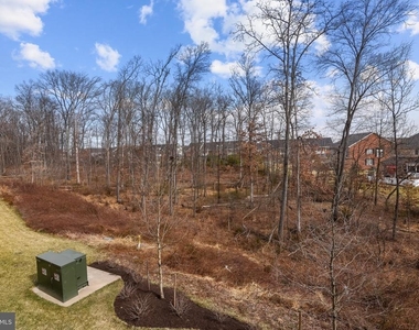 23266 Southdown Manor Terrace - Photo Thumbnail 13
