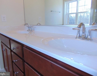 42641 Oak Park Sq - Photo Thumbnail 16