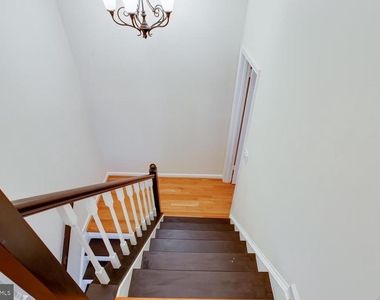 21707 Leatherleaf Circle - Photo Thumbnail 23