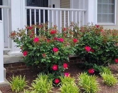 43074 Old Gallivan Terrace - Photo Thumbnail 1