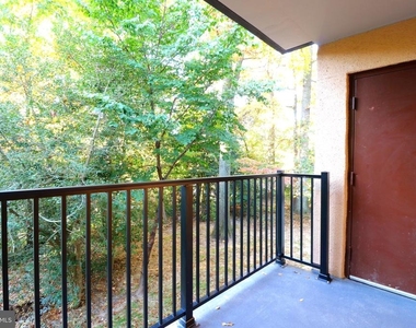 2249 Castle Rock Square - Photo Thumbnail 24