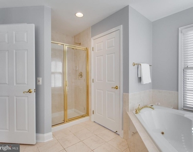 25 Alexander Street - Photo Thumbnail 13