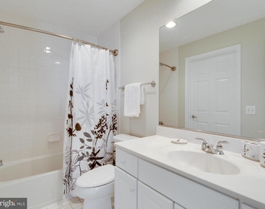 25 Alexander Street - Photo Thumbnail 20
