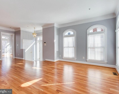 25 Alexander Street - Photo Thumbnail 3