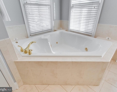25 Alexander Street - Photo Thumbnail 14