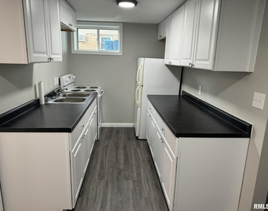 209 E 10th Street - Photo Thumbnail 4