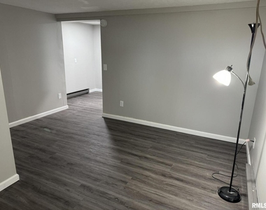 209 E 10th Street - Photo Thumbnail 2