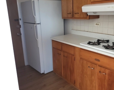 8537 Niles Center Road - Photo Thumbnail 4
