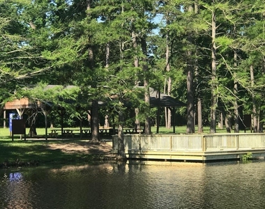 1016 Shoal Creek Trail - Photo Thumbnail 25