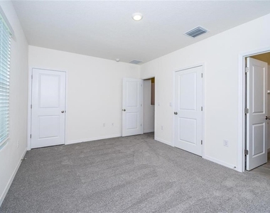 34293 Sorrel Mint Drive - Photo Thumbnail 20