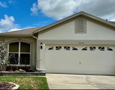 30239 Emmetts Court - Photo Thumbnail 29