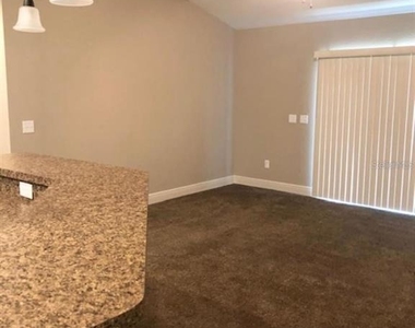 16941 Sw 43rd Court Road - Photo Thumbnail 5
