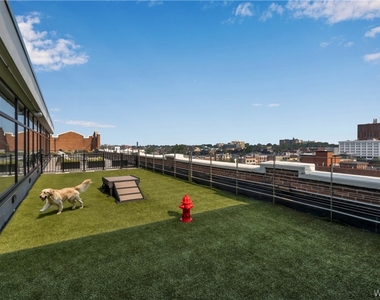 628 Ellicott Street - Photo Thumbnail 3