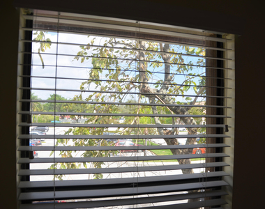 3355 Jaywood Terrace - Photo Thumbnail 38