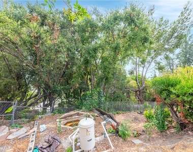 24221 Hatteras Street - Photo Thumbnail 46