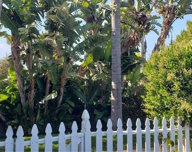 215 Knox Street - Photo Thumbnail 39