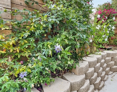 655 W Ontario Avenue - Photo Thumbnail 47