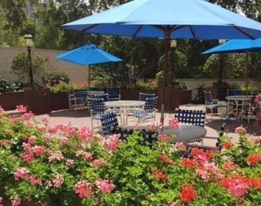 10535 Wilshire Boulevard - Photo Thumbnail 53