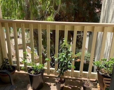 5780 Freebird Lane - Photo Thumbnail 11