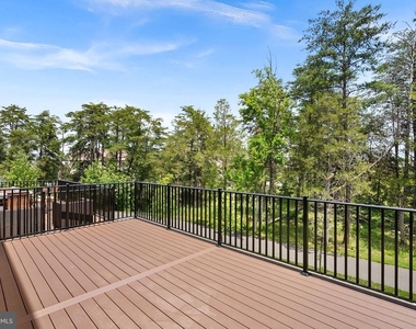 22892 Copper Tree Terrace - Photo Thumbnail 53