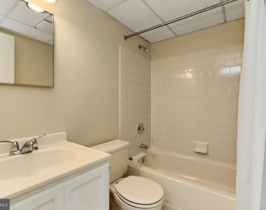 2804 Oakton Manor Court - Photo Thumbnail 38
