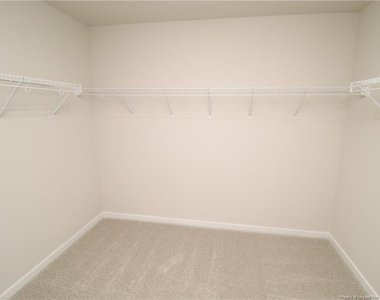 4129 Hazel Branch Way - Photo Thumbnail 29