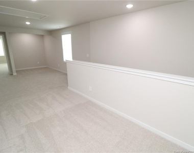 4129 Hazel Branch Way - Photo Thumbnail 19