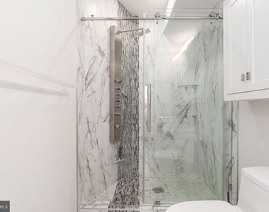 1733 Carpenter Street - Photo Thumbnail 22