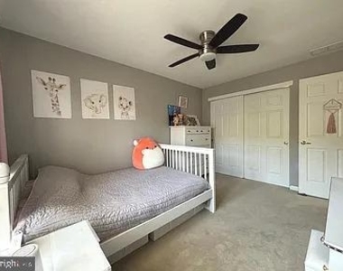 233 Tall Pines Drive - Photo Thumbnail 13