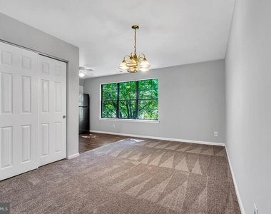 5 Harrington Lane - Photo Thumbnail 6