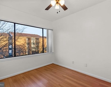 11238 Cherry Hill Road - Photo Thumbnail 5