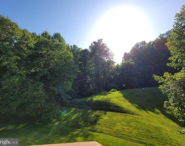 13115 Rosebay Drive - Photo Thumbnail 21