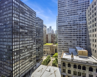 900 N Lake Shore Drive - Photo Thumbnail 8