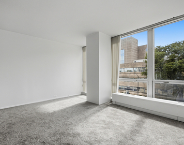 340 W Diversey Parkway - Photo Thumbnail 10