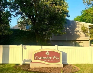 61 Coriander - Photo Thumbnail 1