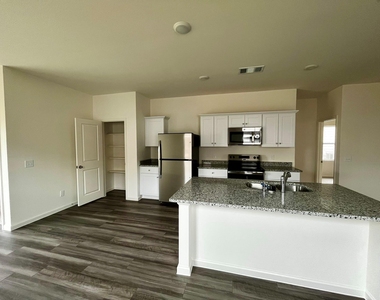 31266 Williams Landing St - Photo Thumbnail 4