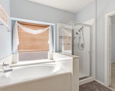 14127 Austin Hollow Court - Photo Thumbnail 21