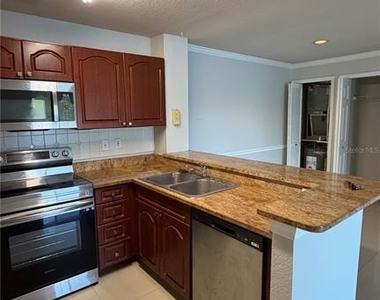 4209 Woodstorks Walk Way - Photo Thumbnail 10