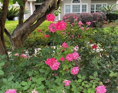 4072 Nw 37th Terrace - Photo Thumbnail 25