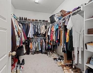 2248 Palomino Street - Photo Thumbnail 16