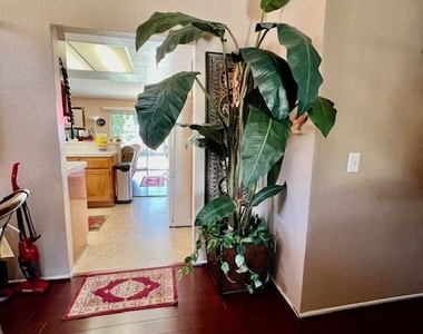 1254 Scenic View St - Photo Thumbnail 15