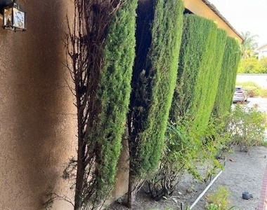 1254 Scenic View St - Photo Thumbnail 23