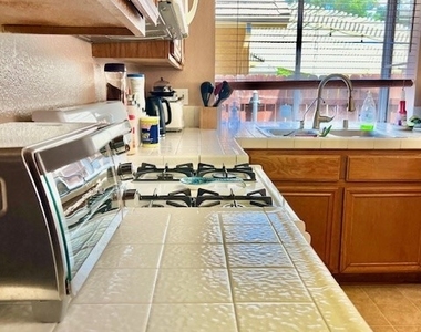 1254 Scenic View St - Photo Thumbnail 13