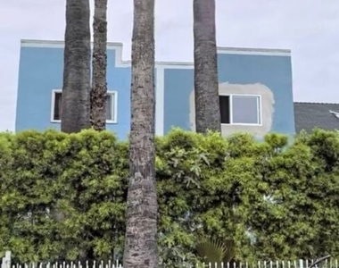 807 W 50th Street - Photo Thumbnail 4