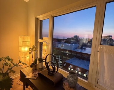 20 Livingston Avenue - Photo Thumbnail 16