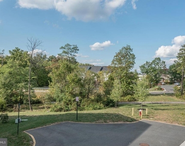43374 Old Ryan Road - Photo Thumbnail 27