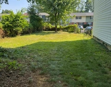 237 Cameron Street - Photo Thumbnail 3
