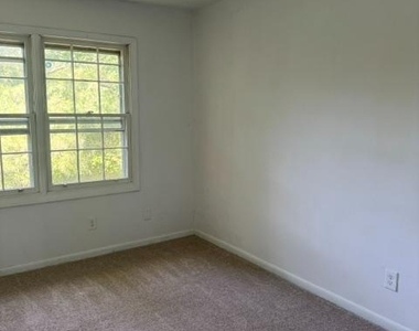 237 Cameron Street - Photo Thumbnail 13